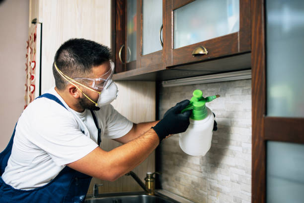 Best Wasp Removal Services  in Glen Raven, NC