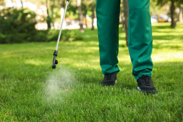Best Emergency Pest Control  in Glen Raven, NC