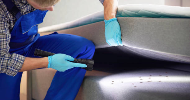 Best Wasp Removal Services  in Glen Raven, NC
