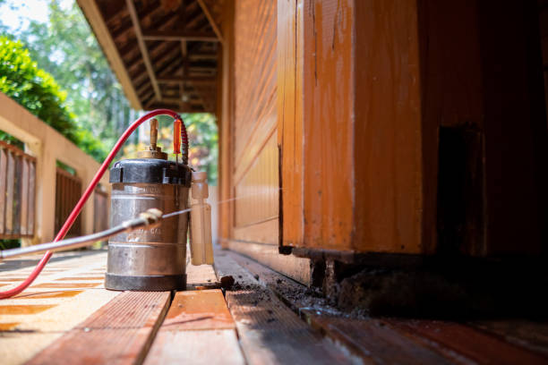 Best Mosquito Control Services  in Glen Raven, NC