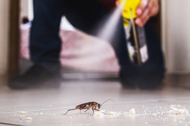 Best Affordable Pest Control Services  in Glen Raven, NC