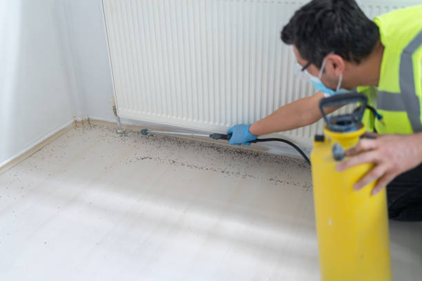 Best Best Pest Control Companies  in Glen Raven, NC